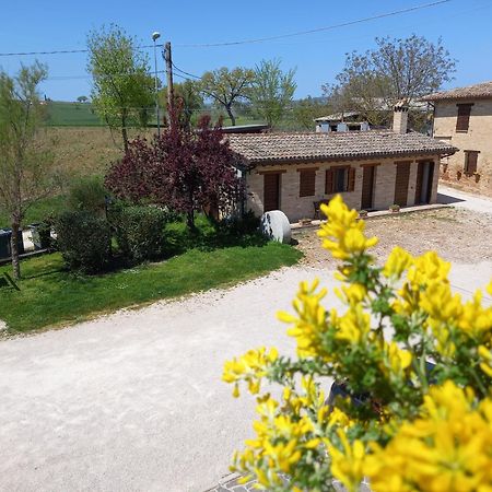 Agriturismo Il Borghetto Montefalco Exteriör bild