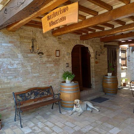 Agriturismo Il Borghetto Montefalco Exteriör bild